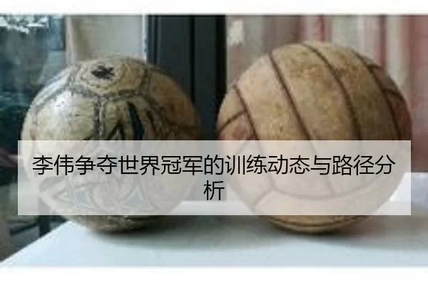 李伟争夺世界冠军的训练动态与路径分析